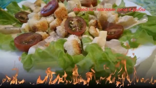 Цирковые Шоу с Трюками и Фокусами