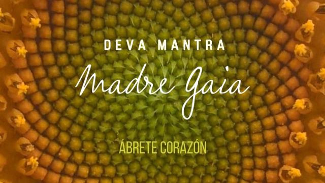 Ábrete Corazón смотреть онлайн
