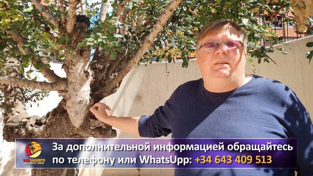 Что важно знать о работе в Испании смотреть онлайн