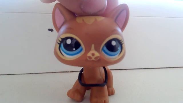 Я чего-то не понела или шо? смотреть онлайн