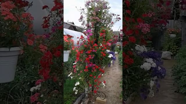 Вертикальная, экономичная подставка для цветов смотреть онлайн
