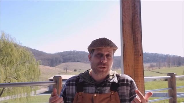 Orange Habanero смотреть онлайн