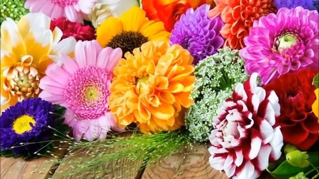 Помню я детства дни смотреть онлайн