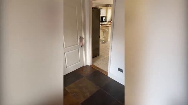 Далматинец втайне от хозяев научился играть на пианино