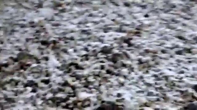 Снег выпал на даче) смотреть онлайн