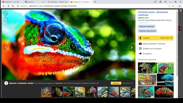 гайд на хамелеона животное хамелеон что же такое хамелеон сегодня мы узнаем кто это смотреть онлайн