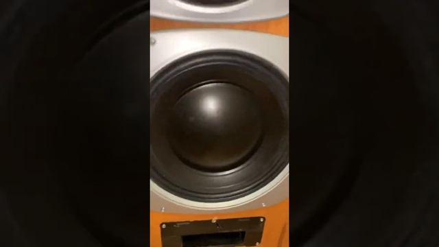 Видео-показ акустической системы Radiotehnika S-400 (для авито) смотреть онлайн