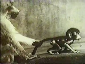 Физиология. Физиология мотиваций и эмоций