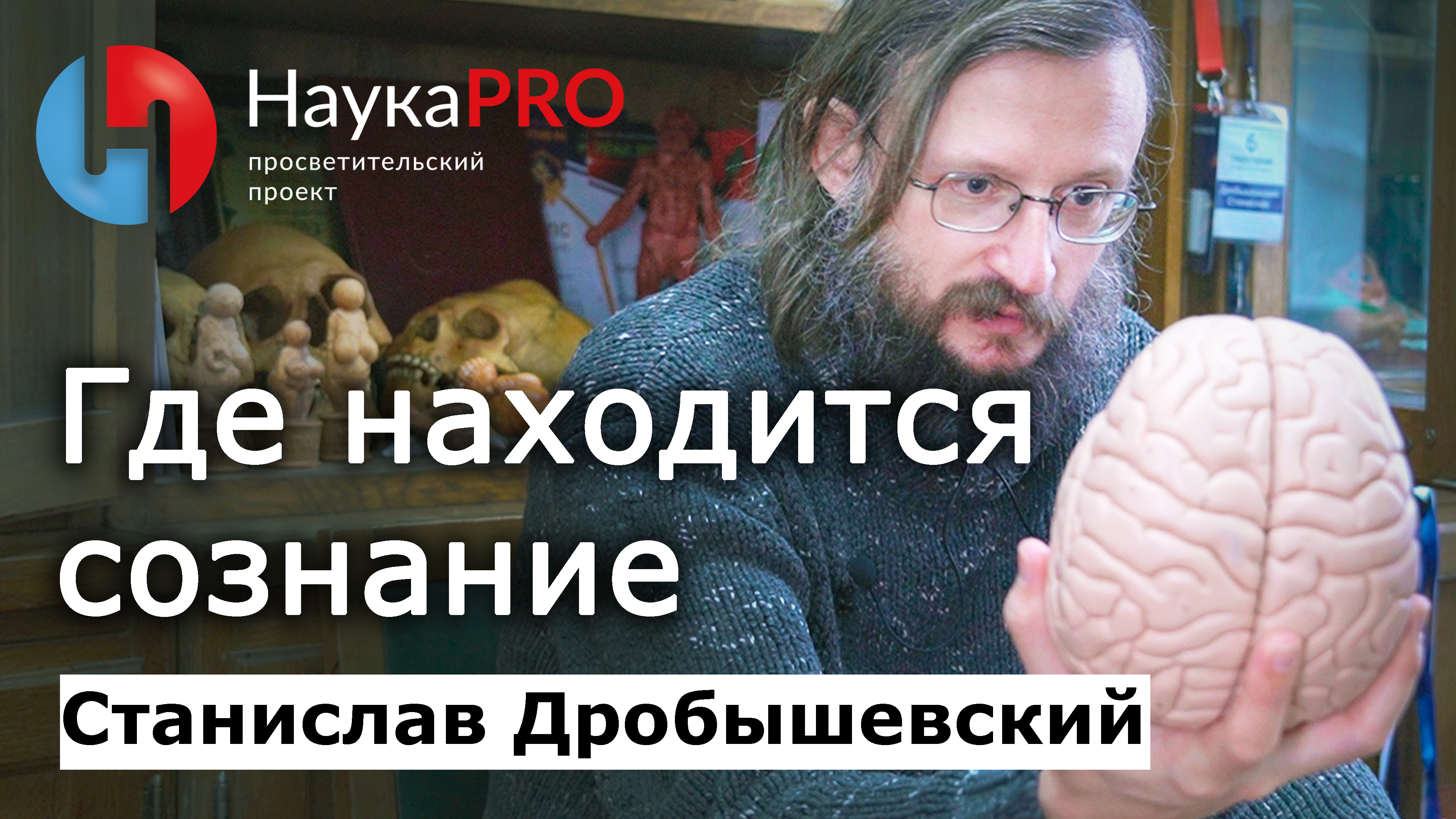 Где находится сознание? – Станислав Дробышевский | Лекции по антропологии | Научпоп смотреть онлайн