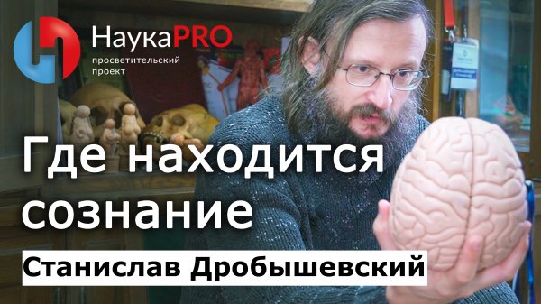 Где находится сознание? – Станислав Дробышевский | Лекции по антропологии | Научпоп