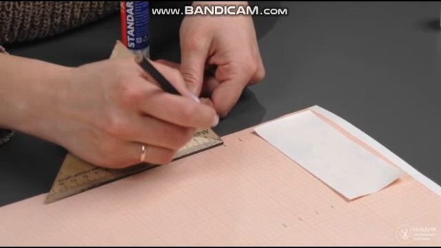 СЛИВ КУРСА .Галина Балановская. Карманная энциклопедия. смотреть онлайн