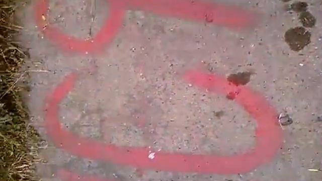 Тюлька смотреть онлайн