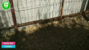 Разрабатываем заросший дачный УЧАСТОК