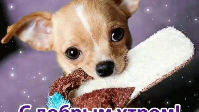 гиф с добрым утром