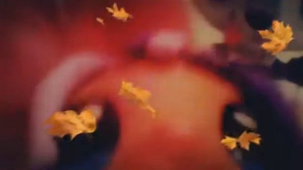 Desko:ты же мой рай