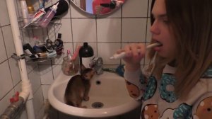 Реальное утро мамы троих зверят