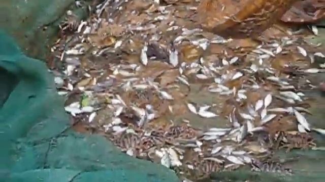 Рыбалка продолжение смотреть онлайн