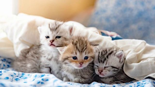 Почему же у меня в названии канала число 13?? смотреть онлайн