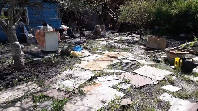Посадили помидоры "Бычье Сердце" розовый смотреть онлайн