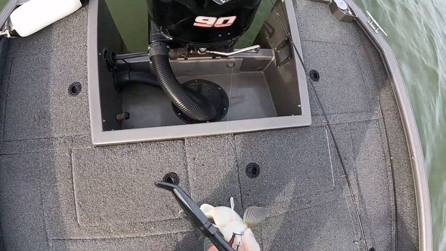 Как поймать пассивного судака!!! смотреть онлайн