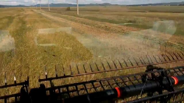 Мак Дон смотреть онлайн