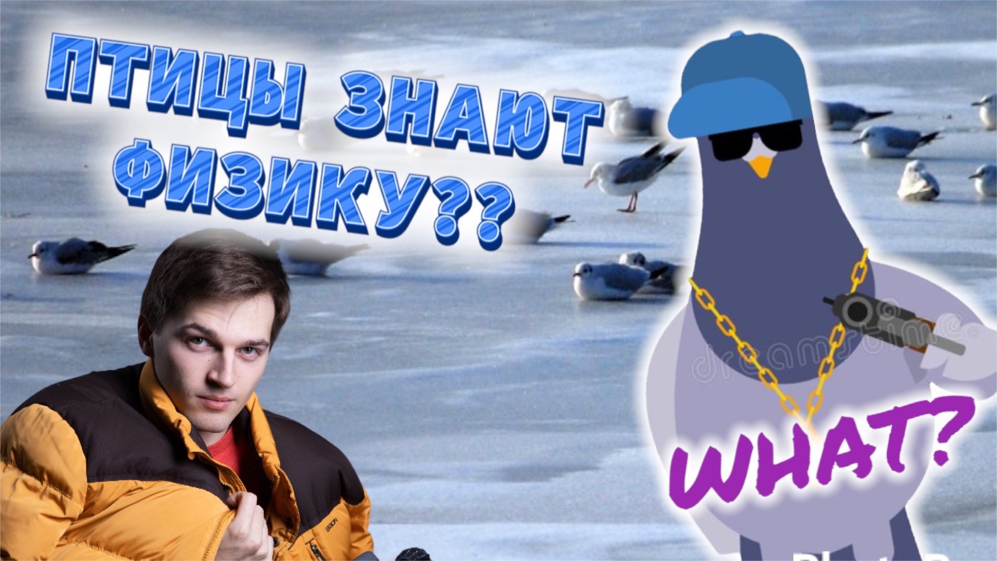 ПТИЦЫ ЗНАЮТ ФИЗИКУ!? ? смотреть онлайн