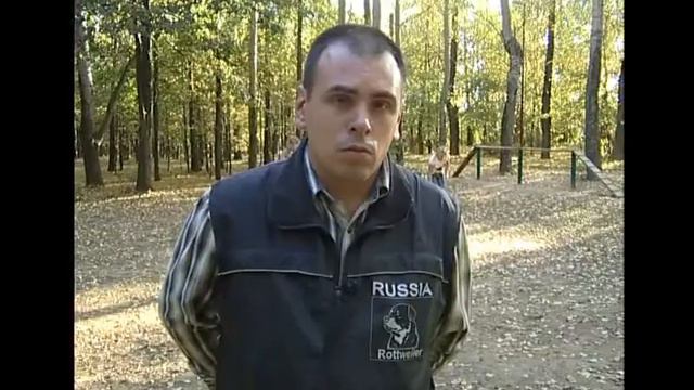 Группа мини собачек смотреть онлайн