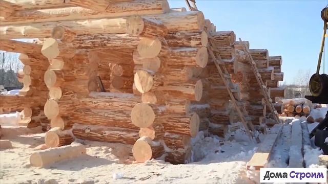 Дикий сруб бани. Www.domastroim.ru