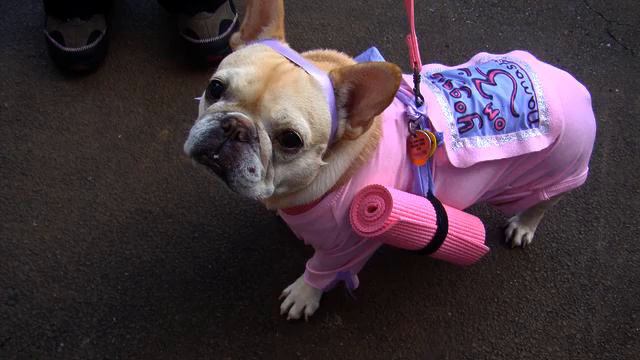 Сборник самых лучших песен и цветы 2015 - смотреть бесп... смотреть онлайн