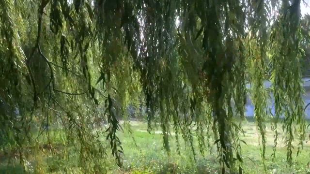 Таганрог.Море смотреть онлайн