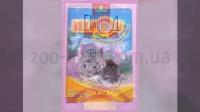 Всё запрещённое шиншиллам. смотреть онлайн