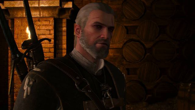 The Witcher 3 Wild Hunt Part 34 Засвет Коломницы смотреть онлайн