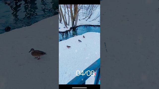 Красота природы???? смотреть онлайн