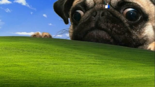 ? Симулятор ошибок Windows (Roblox) смотреть онлайн
