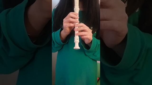陳情令 無羈 忘羡 The Untamed Wuji (recorder cover) смотреть онлайн