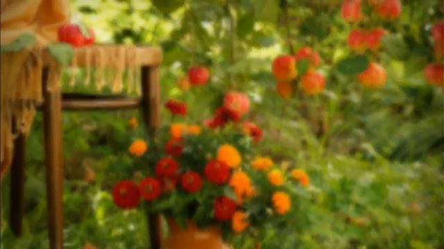 Преображение  Светом