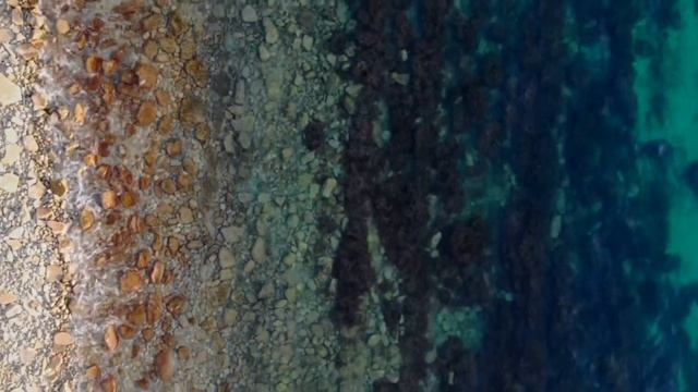 Путешествие в Голубую Бухту с компанией "Следуй за Ежом" смотреть онлайн