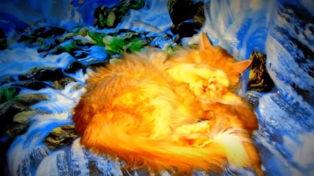 How to soothe kitten?Как успокоить котенка? смотреть онлайн