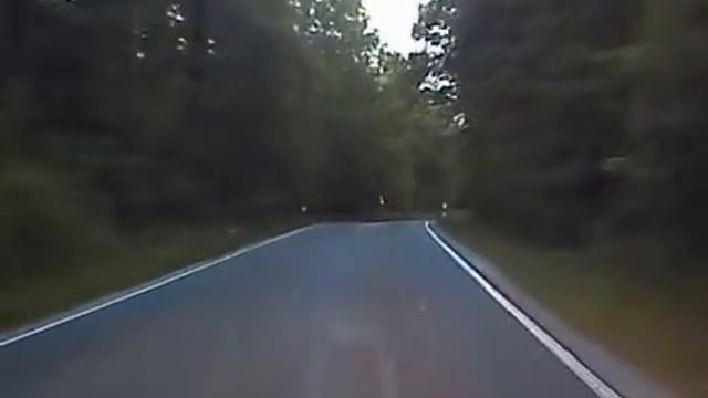 Край непуганых зверей или атака четвероногих!!! смотреть онлайн