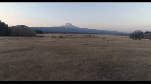 Симон Хорольский – Вот опять наступила осень (христианская песня)