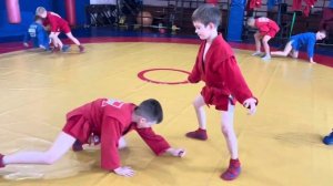 Развитие быстроты координации и ловкости у детей