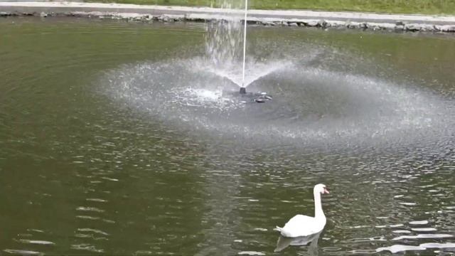 Гомельский парк. Углубление русла Сожа смотреть онлайн