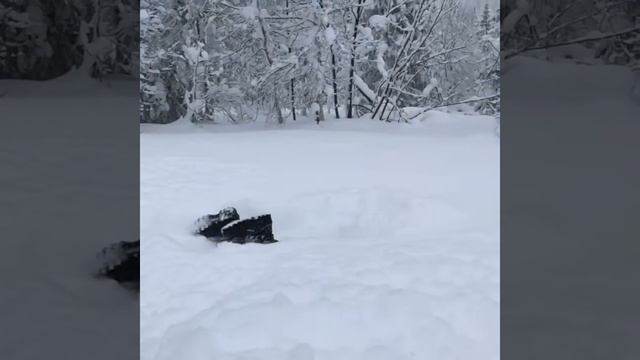 Skidoo gen4 850 смотреть онлайн