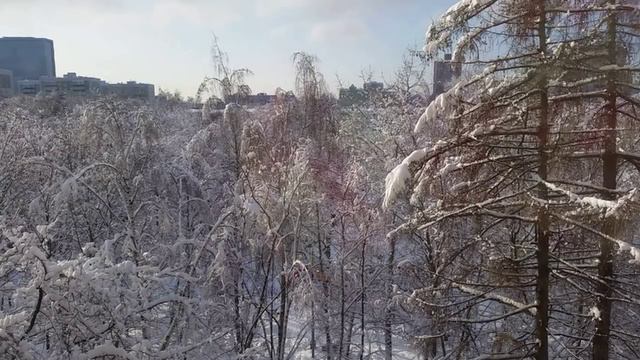 ОТКРОВЕННО обо мне и вышивке: TAG «Откровенный» смотреть онлайн