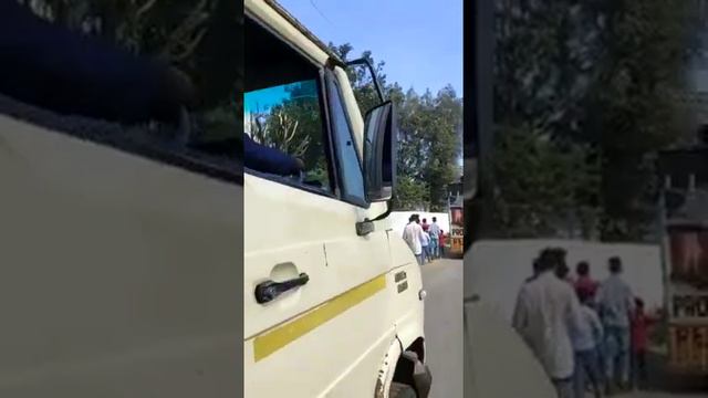 dj Gk and dev dj and RS Brand and pit bull смотреть онлайн