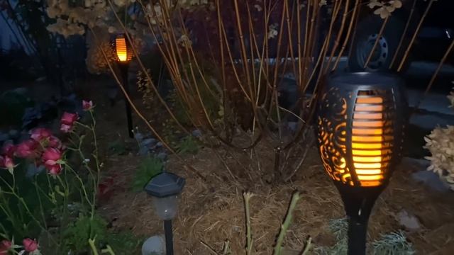 Не скучный цветник в любое время года ?Светильники от epecoled ?Украсила по новому арку????? смотреть онлайн