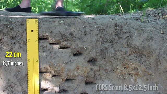 CORS Scout 8.5x12.5" смотреть онлайн