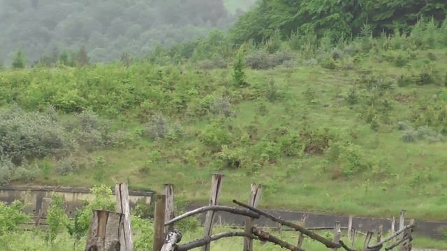 Plantație Slănic Moldova смотреть онлайн