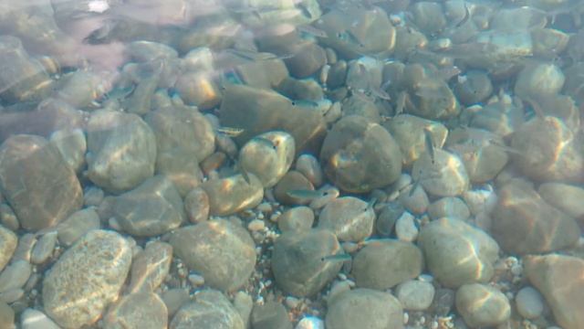 Чистейшее Средиземное море. Турция. Даже рыбок видно смотреть онлайн