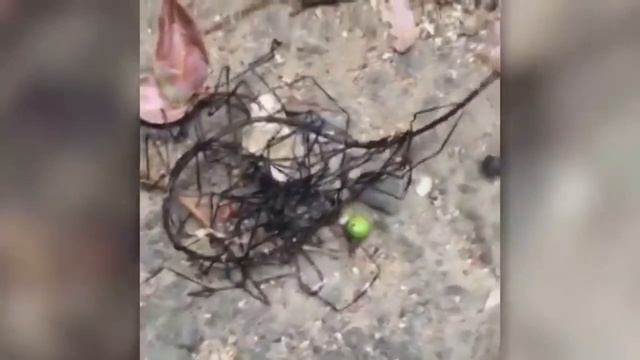 10 ПАРАНОРМАЛЬНЫХ ЯВЛЕНИЙ СНЯТЫХ НА КАМЕРУ Ч-2 _New_ Смотрите и будьте в курсе захватывающего!?!;-) смотреть онлайн